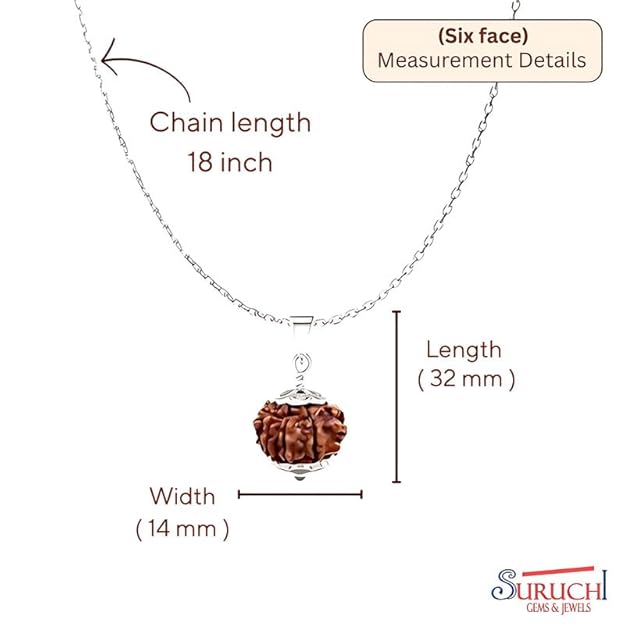 Rudraksha Pendant With Chain