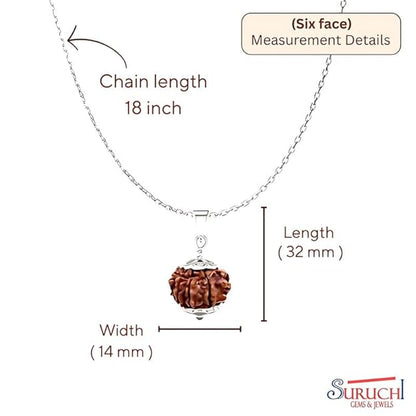 Rudraksha Pendant With Chain