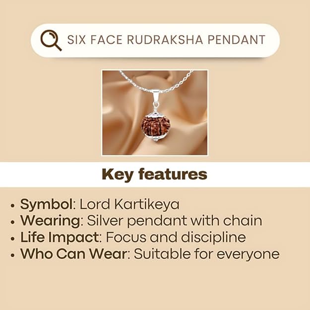 Rudraksha Pendant With Chain