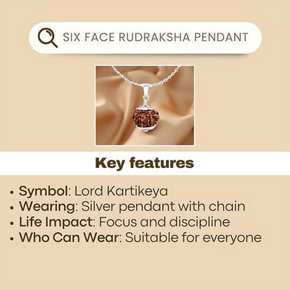 Rudraksha Pendant With Chain