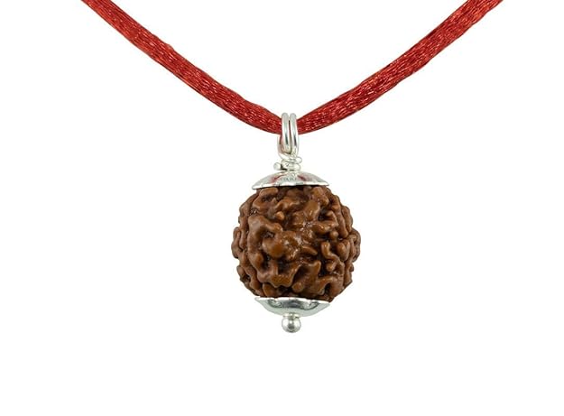 Natural Five Mukhi Rudraksha
